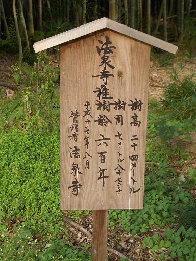 市指定文化財一覧表 7/7へ